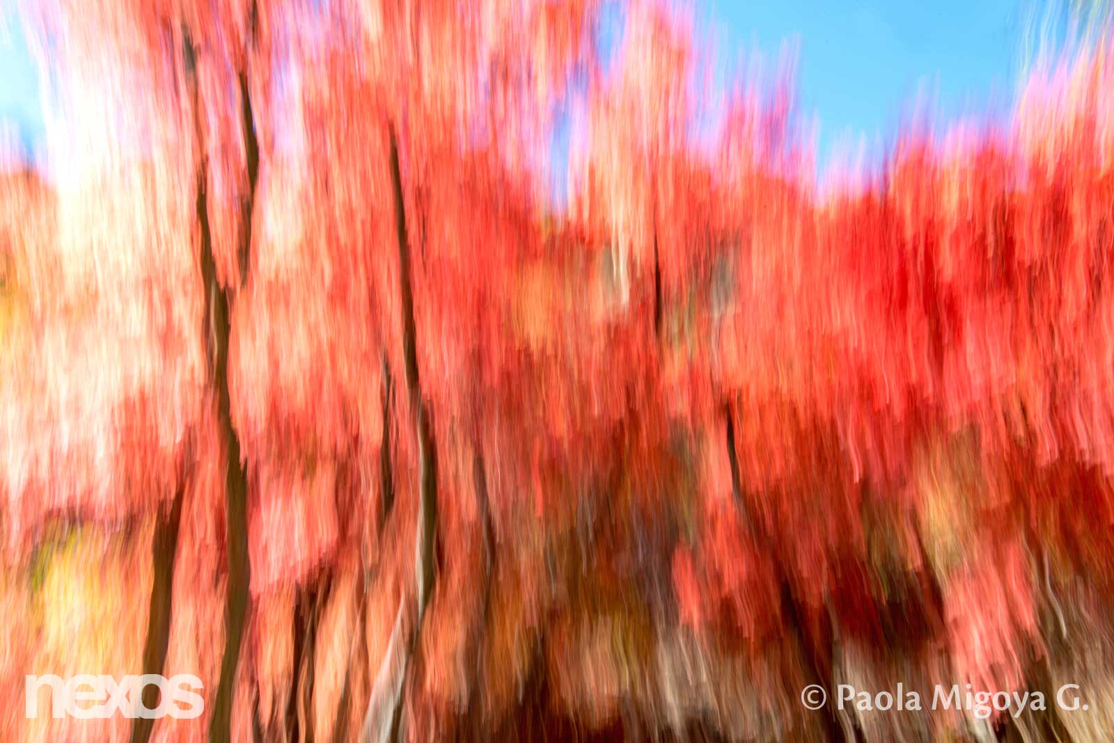 Brochazos de luz y asombro
