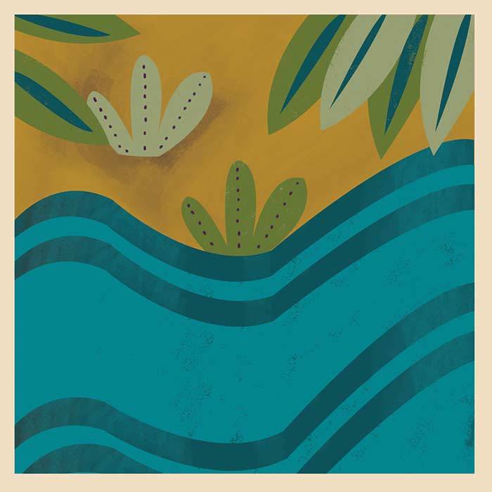 Las afectaciones socioecosistémicas de los florecimientos algales