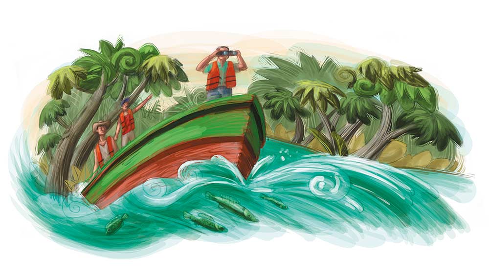 Manglares, murallas de vida