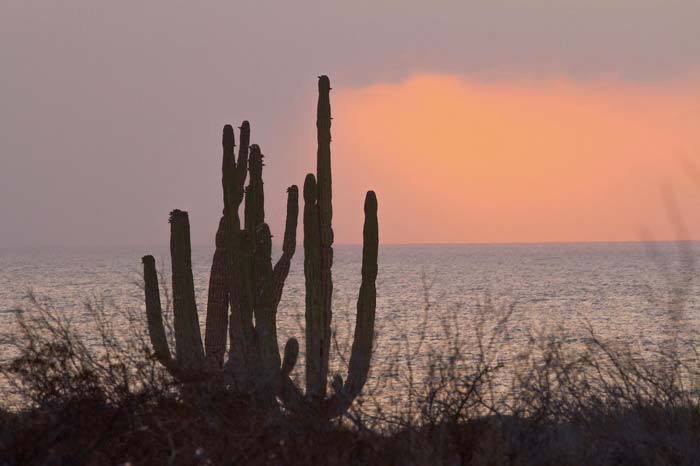 Donde se junta el desierto con el mar