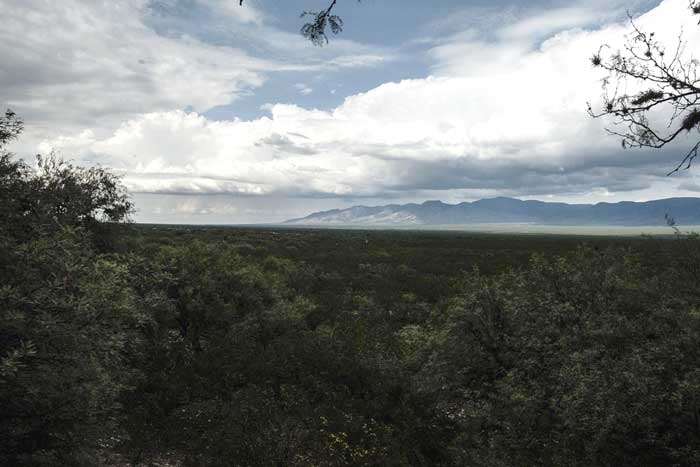 Agua y poder en el Altiplano Potosino