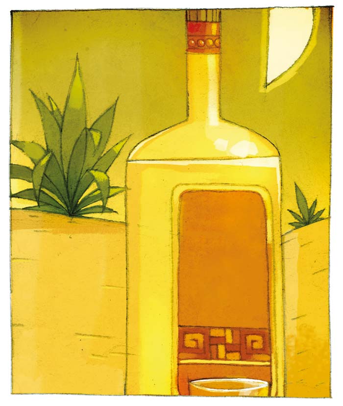 Auge mezcalero: ¿una amenaza para la biodiversidad?