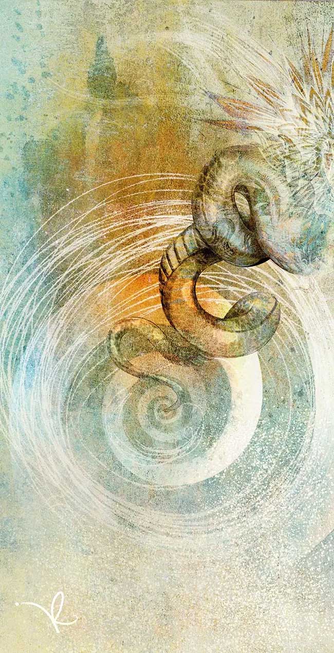 Ida o las lecciones no aprendidas