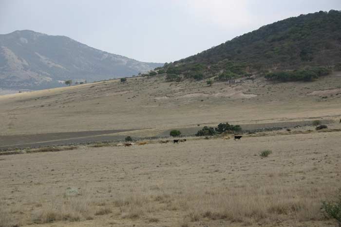 Los pastizales olvidados