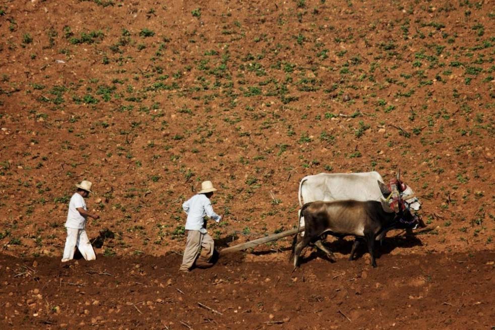Fotografía: Claudia Novelo Alpuche