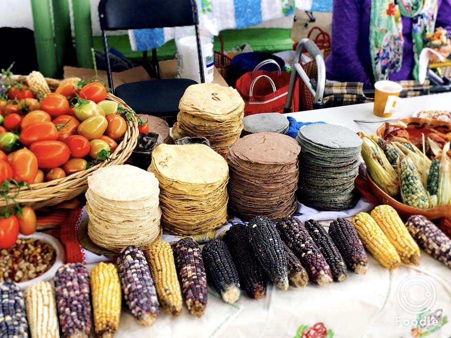 Fotografía: Simoneta Negrete Yankelevich