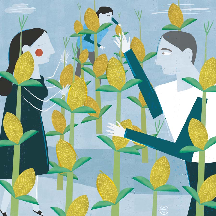 Lo que está detrás de tu tortilla