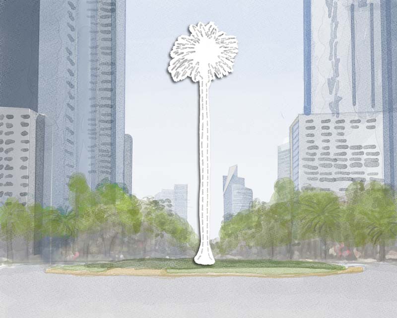 La palma que convocó a una ciudad