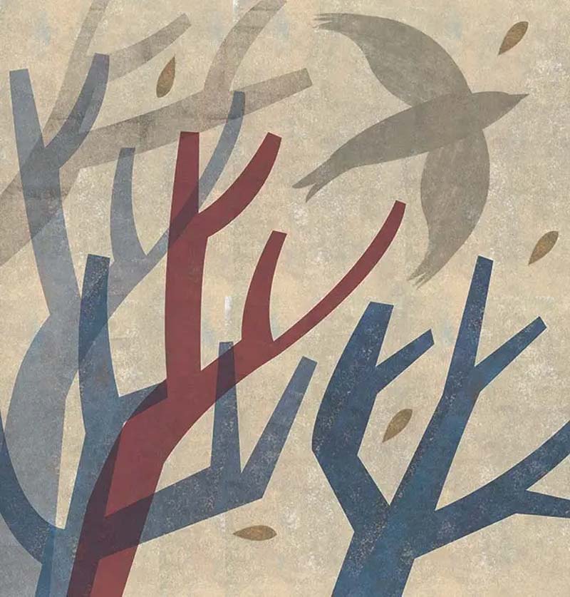 Desenvolviendo futuros posibles de cambio climático