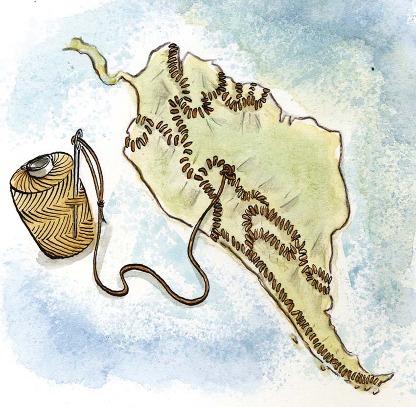 El Acuerdo de Escazú y los retos de la democracia ambiental