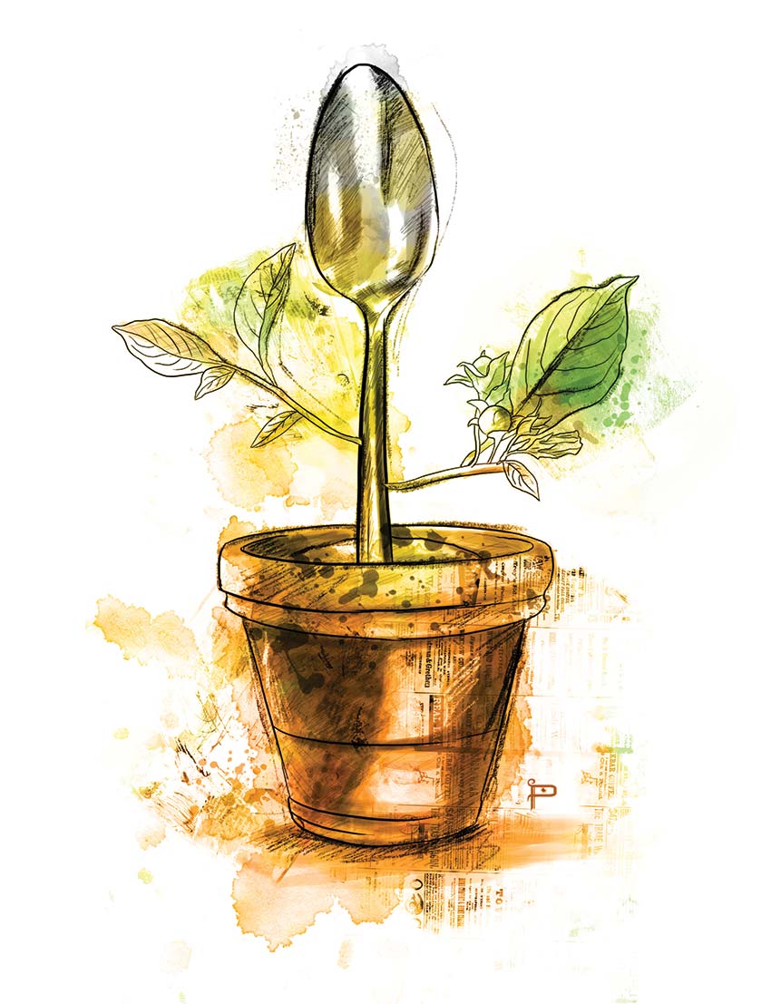 Cambio climático y el riesgo para la producción de alimentos en México