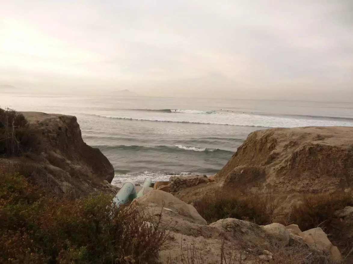 Marea roja y condición anfibia