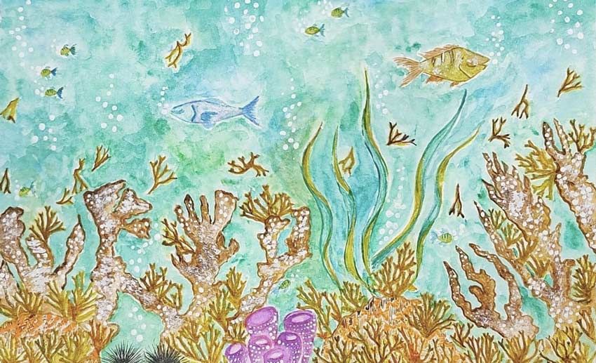 Arrecife dominado por algas