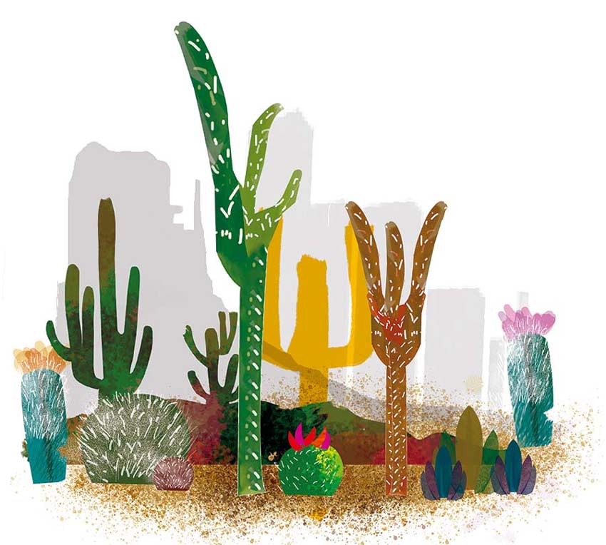 Muerte lenta en el sur del Valle del Mezquital