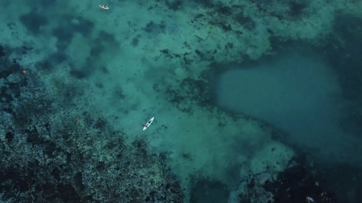 Placa arrecifal de Huatulco e inicio de mortalidad coralina. Color blanquecino indica blanqueamiento coralino mientras que las áreas oscuras indican mortalidad coralina. Julio de 2023