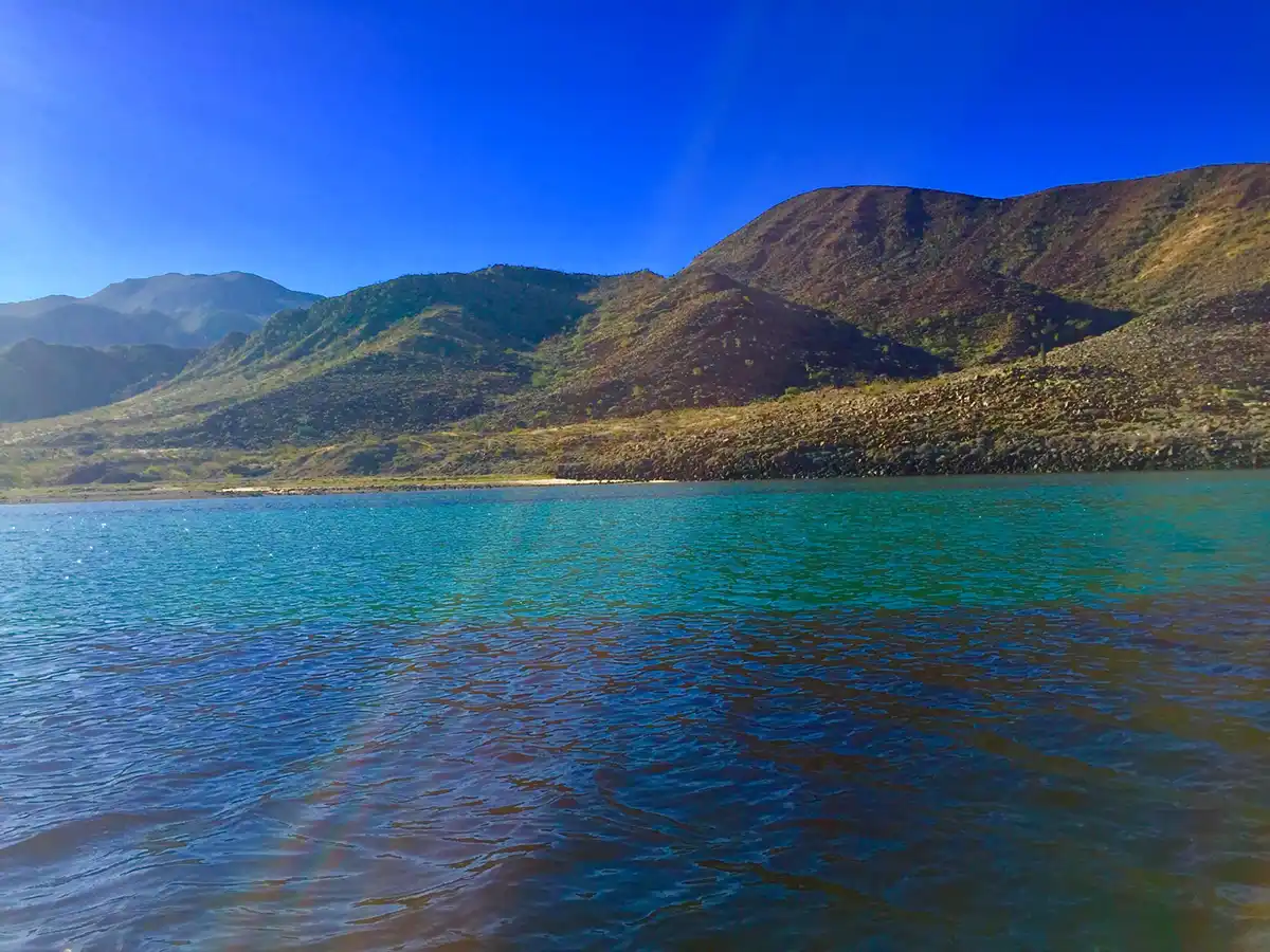 Las ballenas no viajan en temporada de huracanes
