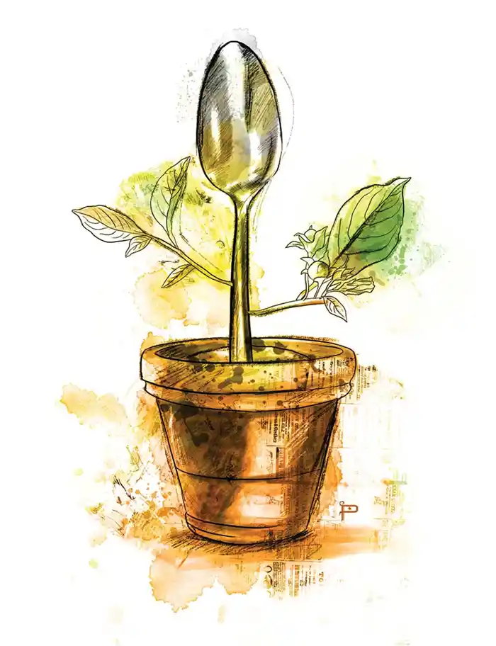 ¿La gastronomía mexicana está en peligro por el cambio climático?