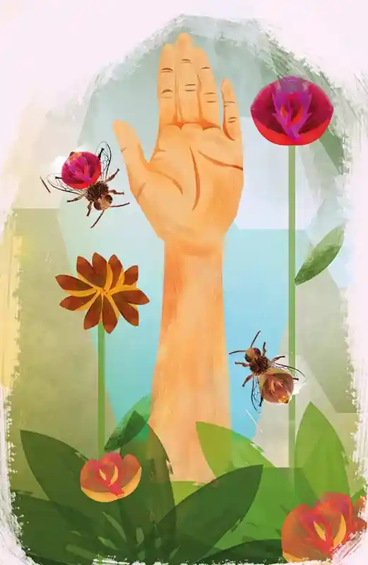 300 000 colmenas de abejas muertas: por un México sin plaguicidas