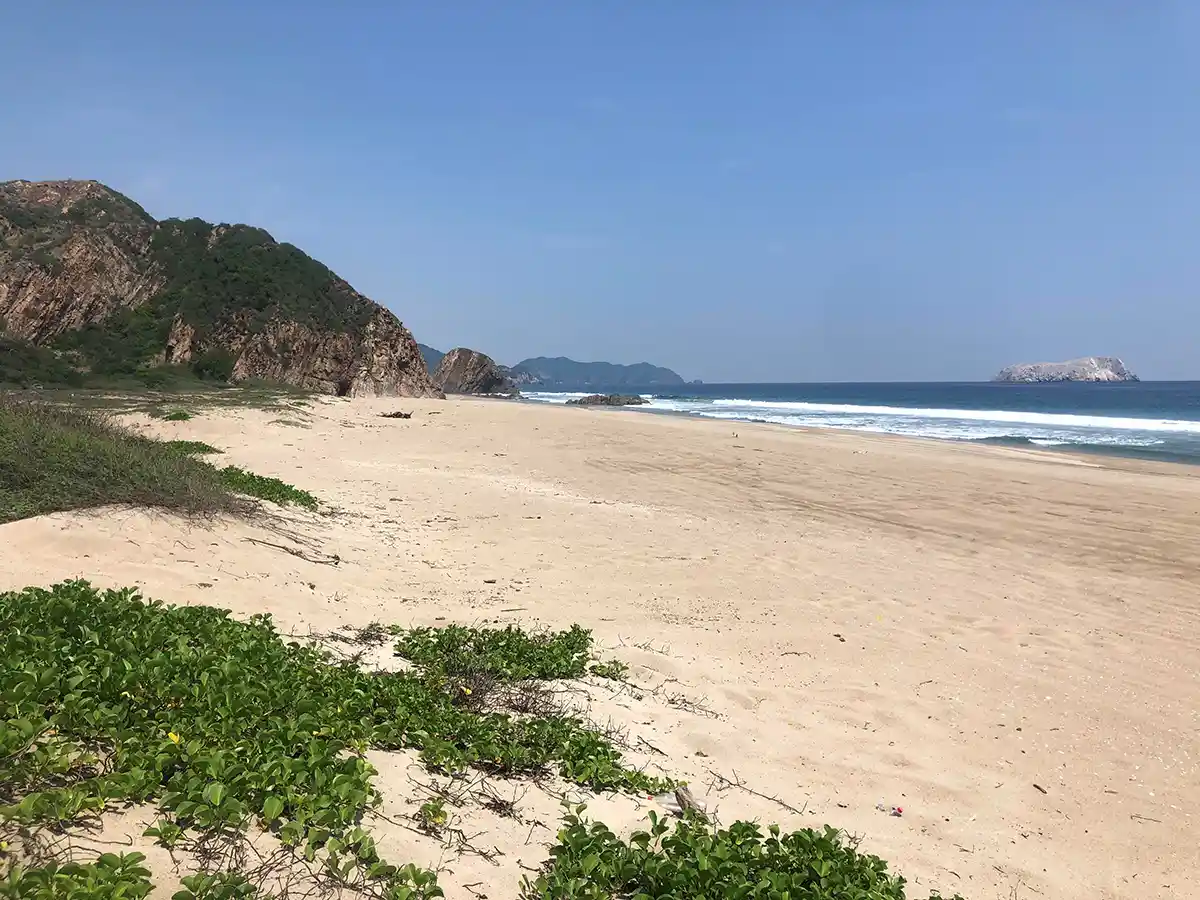 Las Brisas Marinas: tejedora de la naturaleza costera