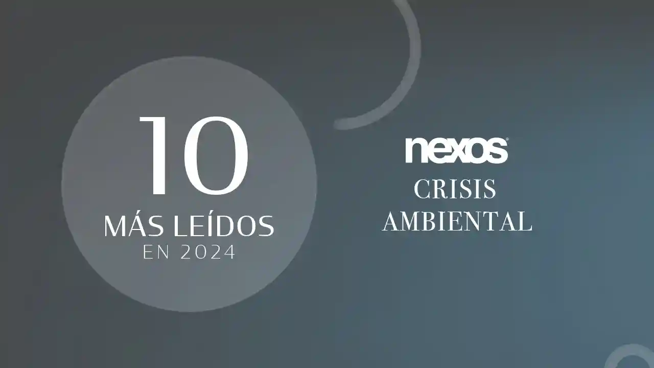 Los 10 textos más leídos de 2024