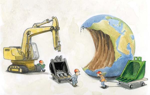 Cruce mortal: cuando las carreteras fragmentan el hábitat